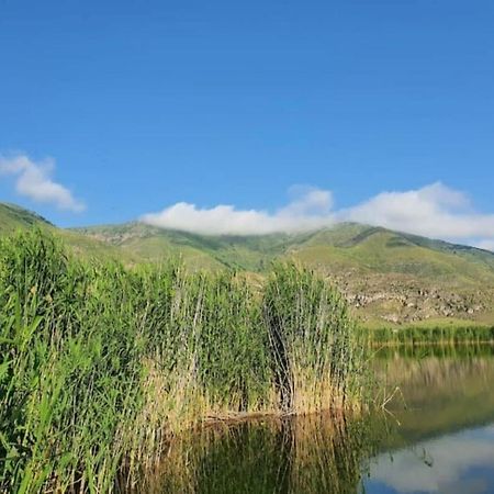Гостевой дом Tirebi Nakalakevi Экстерьер фото